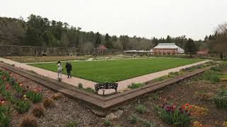 Biltmore Tulip Season Crowds: Midday Time-Lapse in the Walled Garden