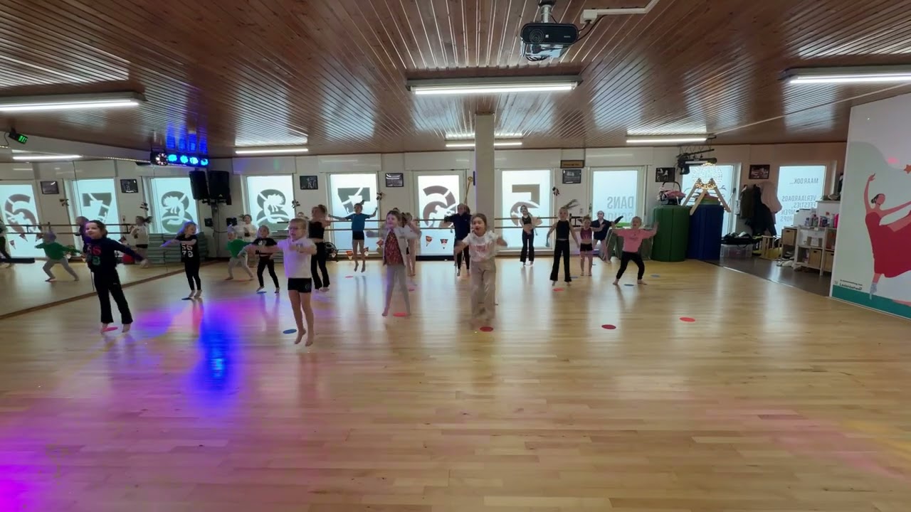 Predisco zaterdag - De dakendans