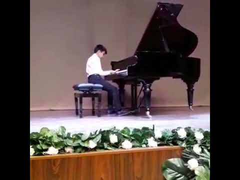 21 sayli musiqi mektebi pianocular musaqibesi ARILARIN VIZILTISI 1