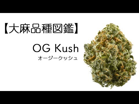 大麻 品種 リスト