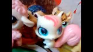 lps cz.3 LIMAFO-Sexy and I Know It