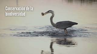 💧 El agua es responsabilidad de todos
