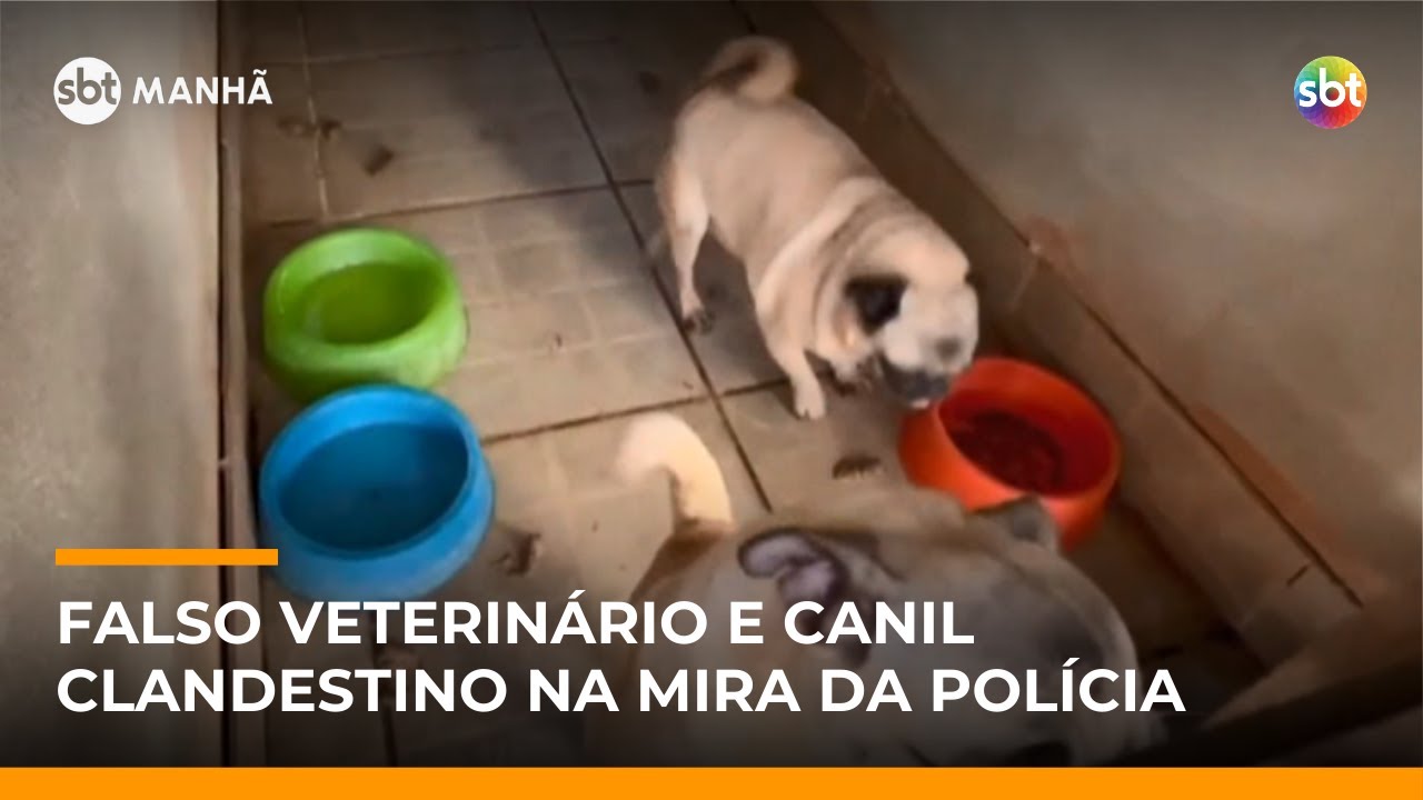 Canil clandestino: investigado admite não ser veterinário formado durante ação policial | #SBTManhã