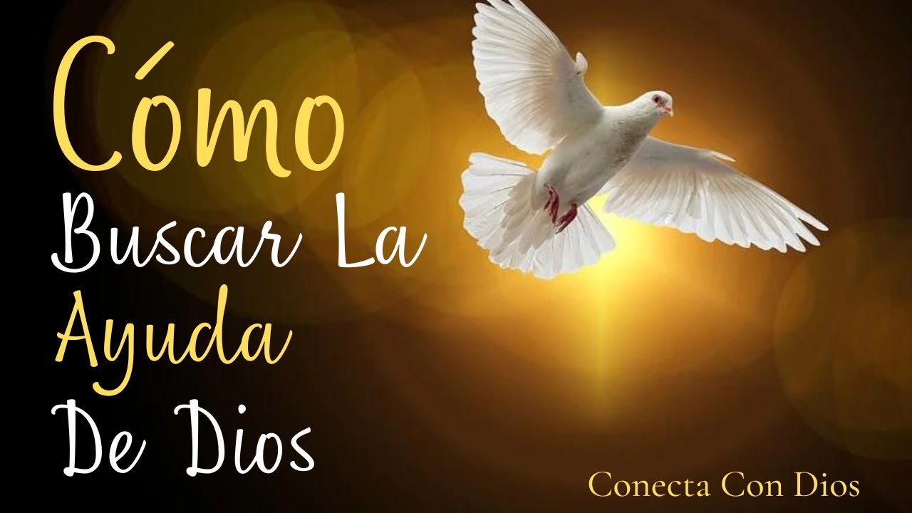 🔴 Cómo Buscar La Ayuda De Dios - YouTube