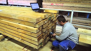 Strength Grading – Timber Grader MTG