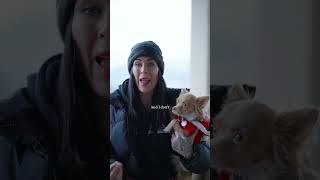 The answer is no, but always yes to Mr Fluff cuddles 🥹🥹 #motivation #selfconfidence Wealth