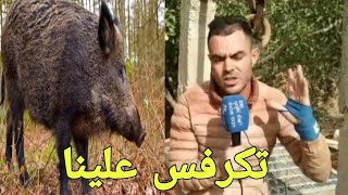 ها شنو دار ليهم الحلوف وشاب يناشد المسؤولين للتدخل