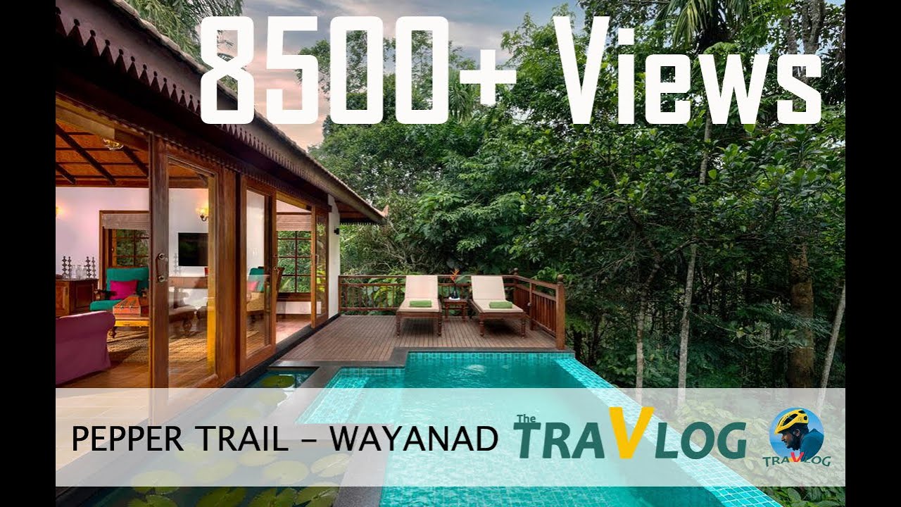 A trip to Pepper Trail Wayanad The TravLog YouTube