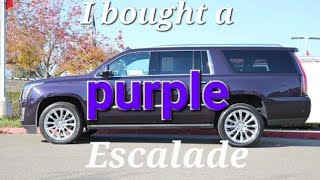 I bought a purple Escalade ESV by Adventures with Angus 281 views 1 year ago 8 minutes, 28 seconds