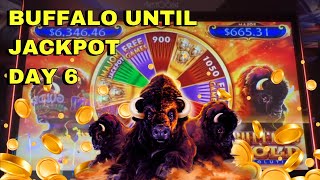 ALMOST HIT THE GRAND | Buffalo until Jackpot DAY 6