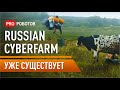 Russian Cyberpunk Farm уже существует. Роботы на фермах России