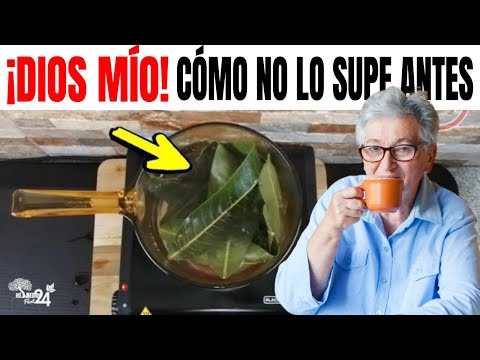 esta-hoja-es-mejor-que-la-insulina,-limpia-los-riñones-y-regula-la-presión-arterial