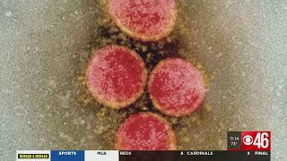 Commonly used gout medication maybe a new weapon in the fight against COVID-19, UGA researchers say