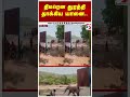 திடீரென துரத்தி தாக்கிய யானை.. பெண்ணுக்கு நேர்ந்த கதி
