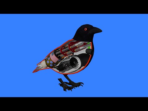How a Crow works
