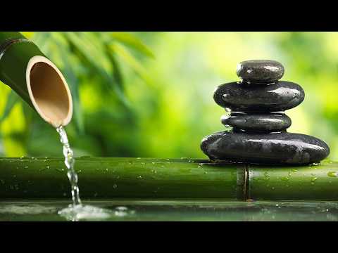 Relajante Música del Sueño + Insomnio - Alivio del Estrés, Música profunda para Dormir #10