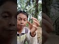 cabut anak sawit /kentosan apel pagi berlaku untuk kariawan #sawitan #fypyoutube