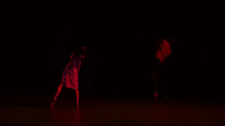 Bartk/Beethoven/...  - Anne Teresa de Keersmaeker