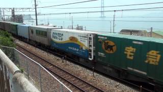 1055レ EF66 36 ゼロロク 舞子~朝霧 2013年7月
