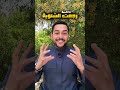 هل رجعت الشتوية ما في وقت يستحي من وقتو سائد السردي حوايج البدو
