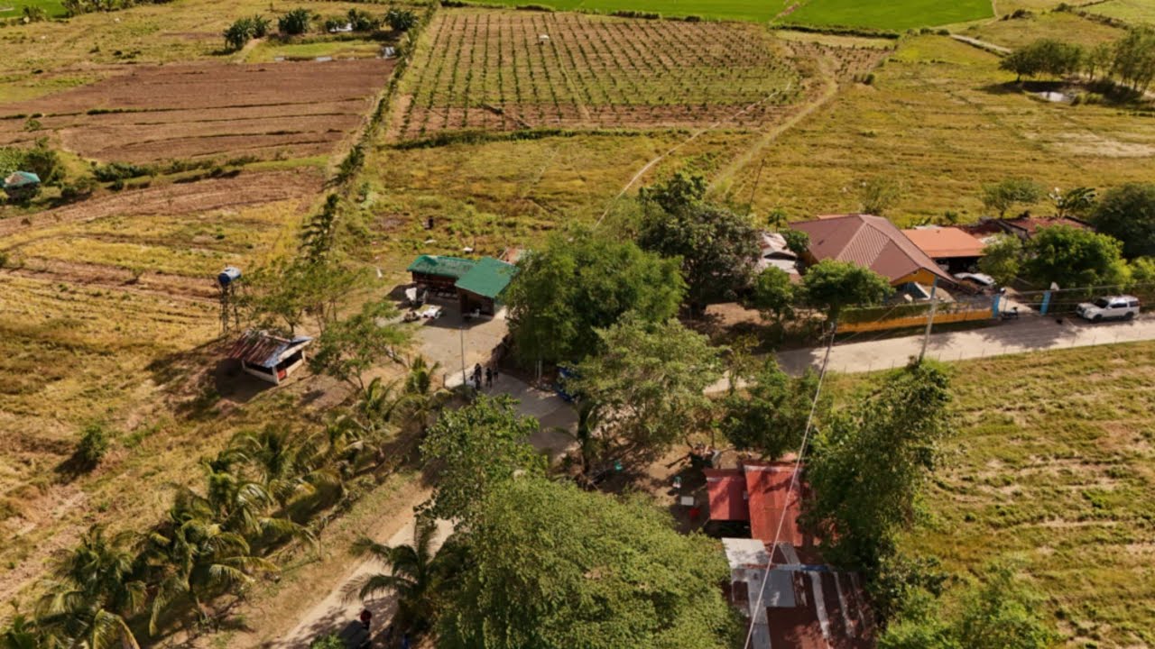 V#122  1.5 HECTARES CALAMASI FARM LOCATED AT CUYAPO NUEVA ECIJA @mr.excitementmixvlog