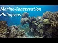 Marine conservation philippines 2017