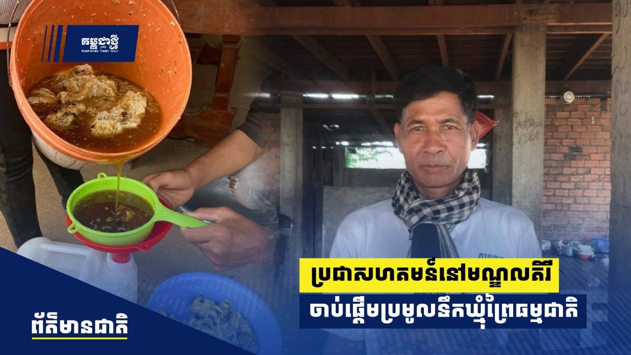 ប្រជាសហគមន៍នៅមណ្ឌលគិរី ចាប់ផ្ដើមនាំគ្នាប្រមូលទឹកឃ្មុំព្រៃធម្មជាតិ ពីខែមីនាតទៅ