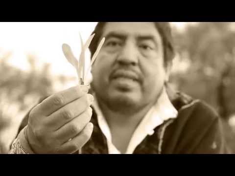 La Milpa de la Desolación / La Tremenda Korte & Juantxo Skalari