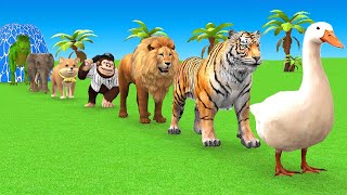 Long Slide Game With Cow Elephant Gorilla Hippopotamus Tiger 3d Animal Game Funny 3d Animals screenshot 5
