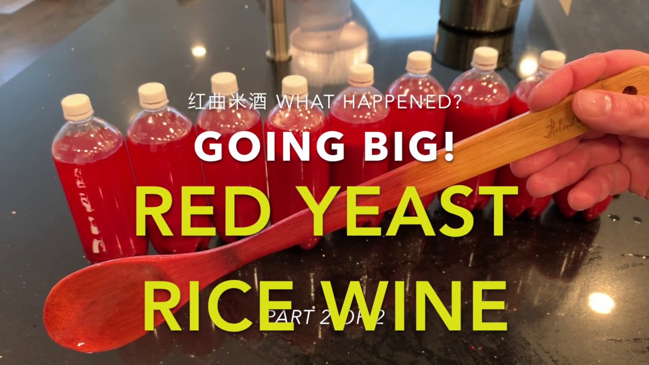 GOING BIG red yeast rice wine (2/2) What happened? YouTube