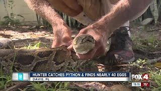 Celebrity Hunter Catches Pythons and Finds 40 Snake Eggs Net Worth