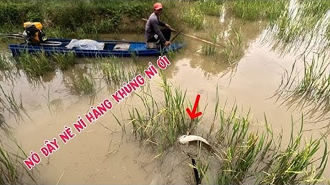 bữa nay đi đánh đồng mới với ní mới động cá lóc nữa rồi ae ơi,kích cá miền Tây,kênh Htgc tập 170*