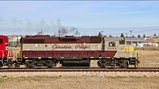 Canadian Pacific's Heritage Unit 3084 - A27 at Blackfalds, AB - 2017.05.04