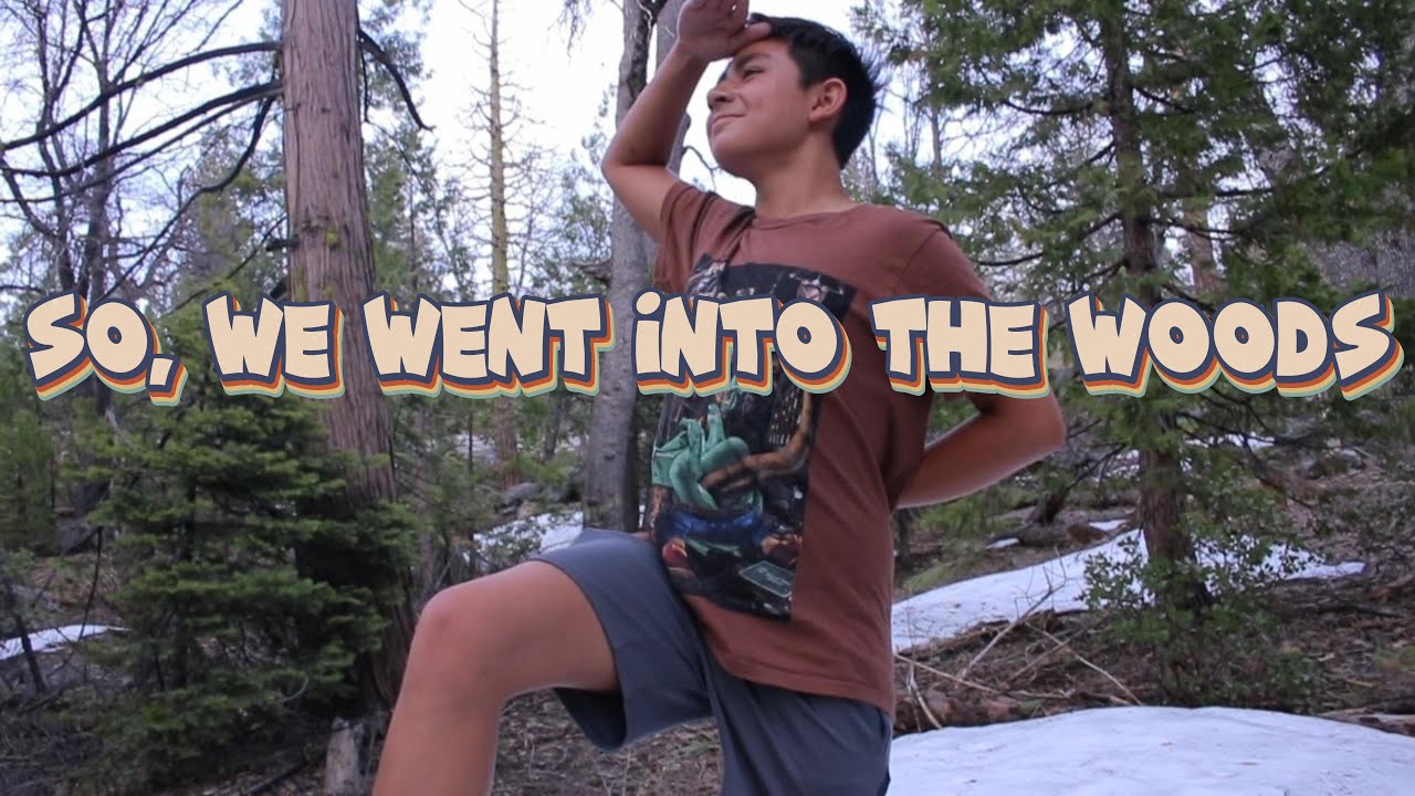 So, we went into the woods - YouTube