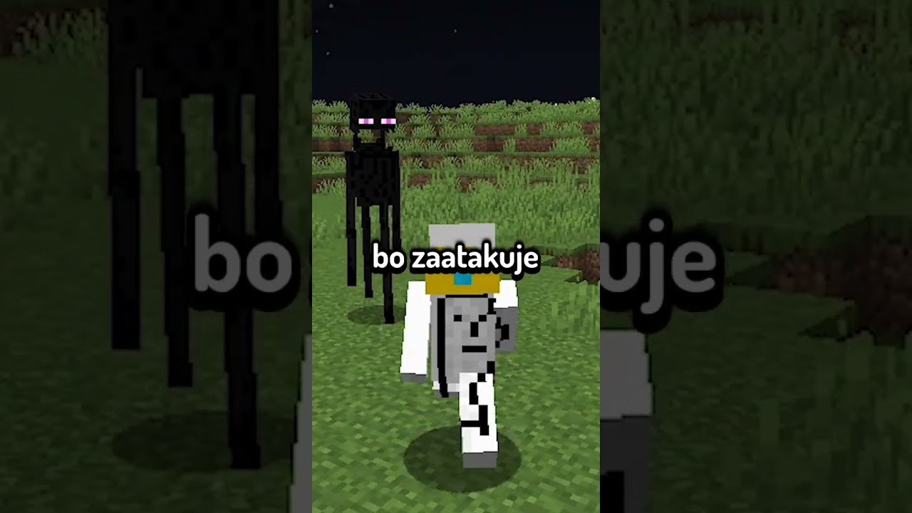 ENDERMAN JEST CZŁOWIEKIEM