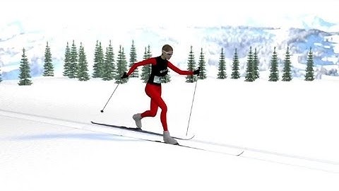 Cross Country Skiing - VIDEOGRAPHIC