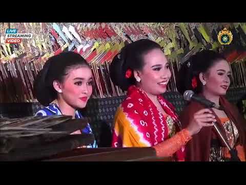 #SINDHEN_KESI // LANGGAM TRESNA SESIDHEMAN
