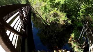 Bridges and Forest Roads in Green Swamp East