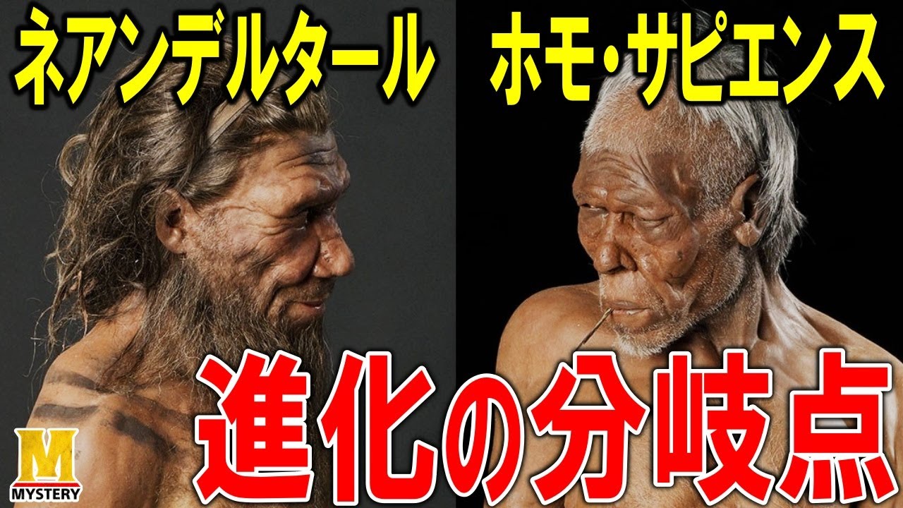 出アフリカが大きな分岐点！ネアンデルタール人とホモ・サピエンスの運命が決まった分かれ道とは？