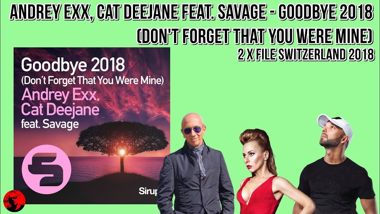 Andrey Exx, Cat Deejane feat. Savage - Goodbye 2018 (Don't Forget That You Were Mine) (2 File 2018)