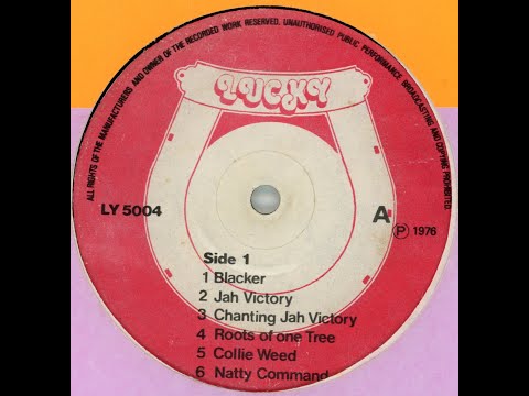 レゲエ イベントポスター 額縁付 TWELVE TRIBES OF ISRAEL The Twelve Tribes Of Israel – Vinyl (LP, Compilation), 1976