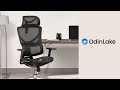 OdinLake L1 (Ergo UPGRADE 518) Ergonomic Office Chair