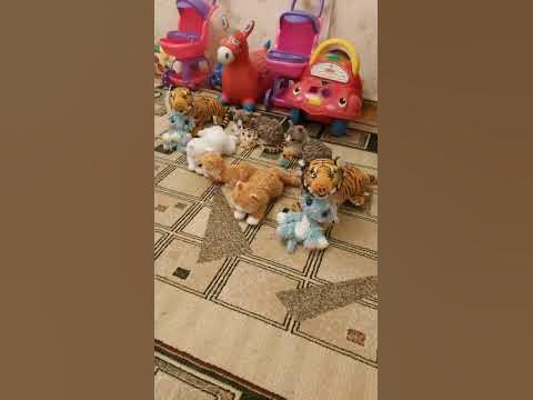 кошачье семейство - YouTube