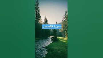آيات من القرآن الكريم - سورة القصص