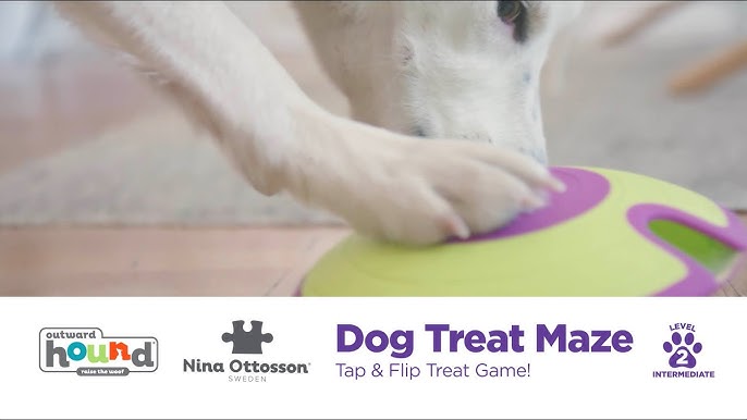 NIna Ottoson by Outward Hound — Wobble Bowl Slow Feeder & Dog Puzzle In One