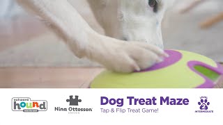 Treat Maze Interactive Puzzle Dog Toy by Nina Ottosson 