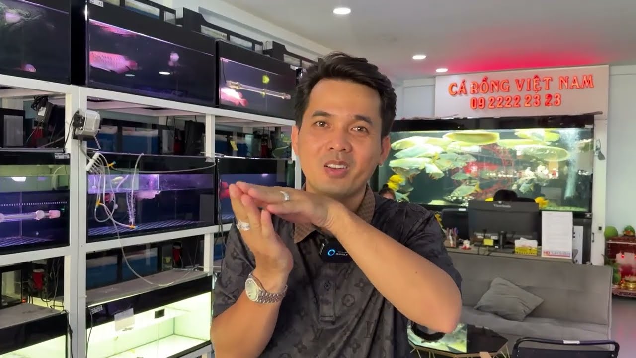 CR hàm cá mập, CR hàm metallic