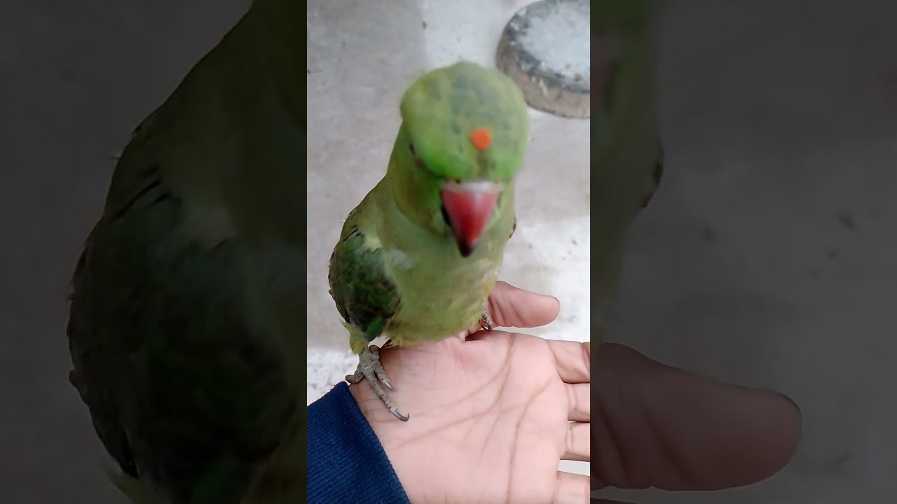 🤣🤣😜😝😁💥 