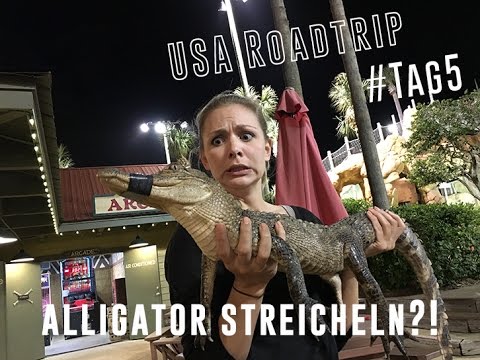Angelina muss einen Alligator streicheln | Superfly USA-Roadtrip #05