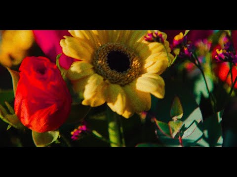 Youtube: Lpee – Love feat. Chatnoir (Prod. Tropicana)
